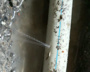 梧州卫生间测漏水多少钱